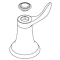Vibrant Brushed Nickel