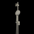 Brushed Nickel (BN)