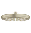 Brushed Nickel
