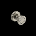 Brushed Nickel (BN)