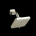 Polished Nickel (PN)