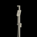 Brushed Nickel (BN)