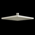 Polished Nickel (PN)