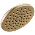 Champagne Bronze