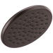 Single-Setting Raincan Shower Head