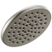 Single-Setting Raincan Shower Head