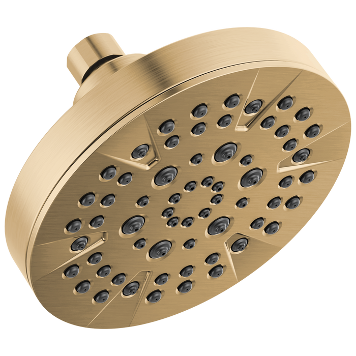 5-Setting Showerhead