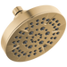 5-Setting Showerhead