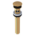 Unlacquered Brass (ULB)