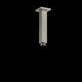 Brushed Nickel (BN)