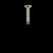 Riobel 558 6" Ceiling Mount Shower Arm