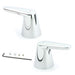 Moen 59036 Handle Kit
