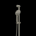 Brushed Nickel (BN)