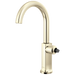 Bar Faucet with Arc Spout - Less Handle