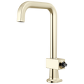 Polished Nickel
