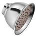 Moen 6302EP Single - Function 4 - 3/8" Diameter Showerhead in Chrome