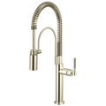 Polished Nickel