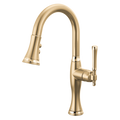 Luxe Gold / Polished Gold