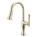 Polished Nickel