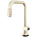 Polished Nickel