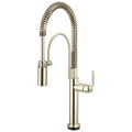 Polished Nickel
