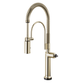 Polished Nickel