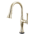 Polished Nickel