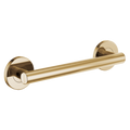 Polished Gold