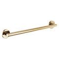 Polished Gold