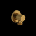 Brushed Gold (BG)