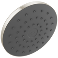 Spotshield Brushed Nickel
