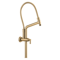Polished Gold