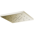 Polished Nickel