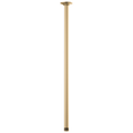 Luxe Gold