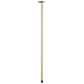 Polished Gold