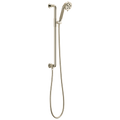 Polished Nickel