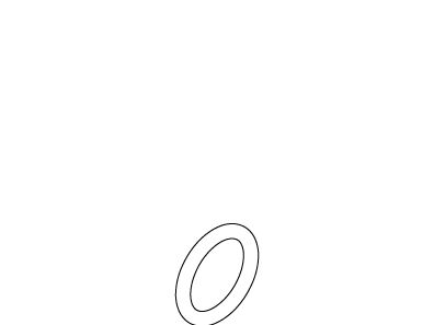 KOHLER K-870495 O-Ring