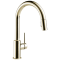 Polished Nickel