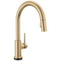 Champagne Bronze
