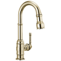 Polished Nickel