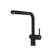 Franke Active Contemporary Single Handle Pull-Out Faucet - Onyx