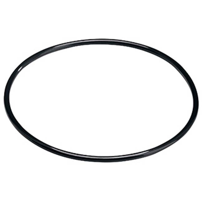 Pentair 152030 O-Ring