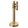 Luxe Gold