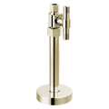 Polished Nickel