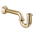 Polished Gold