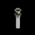 Brushed Nickel (BN)