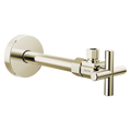 Polished Nickel