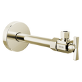 Polished Nickel