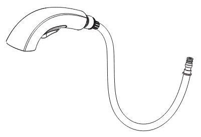 Peerless Parkwood RP101014SS Hose assembly,Wand,Clip & O-ring