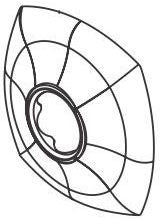 Delta Tolva RP82491SS Flange - Shower